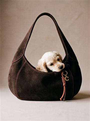 Crossbody, dark brown and orange
