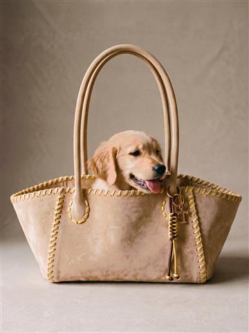 Maxi, beige and butter yellow